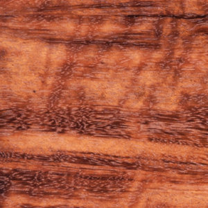 Tigerwood Natur