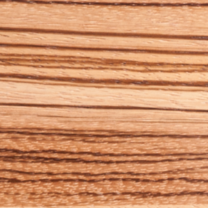 zebrawood nature